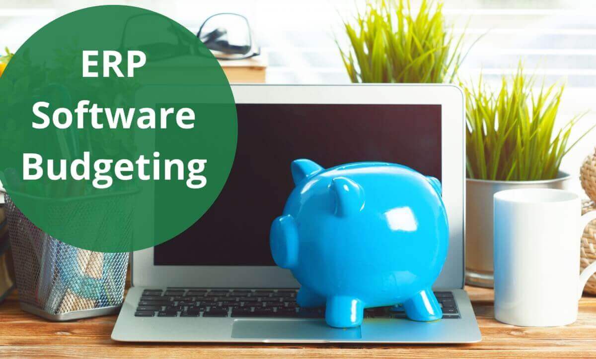ERP Software Budgeting